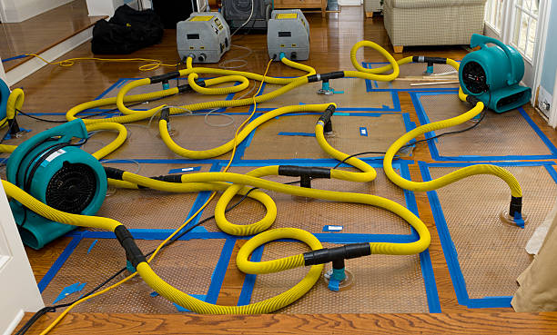 Professional Water Extraction technician working in Akron, IA